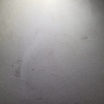 Weltew Home Berjerde Zımba Teli Ve Yırtık/ Rengi Değişmeye Başlayan Kanepe