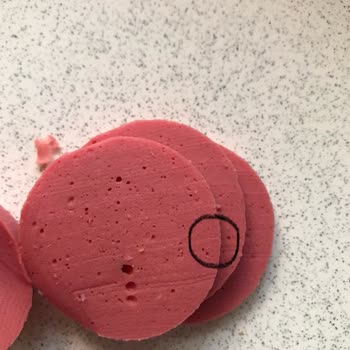 Lezita Piliç Salam İçinden Tüy Çıktı