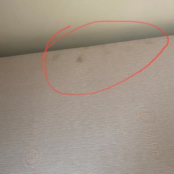 Bellona R*** B****** Hasarlı Ürün