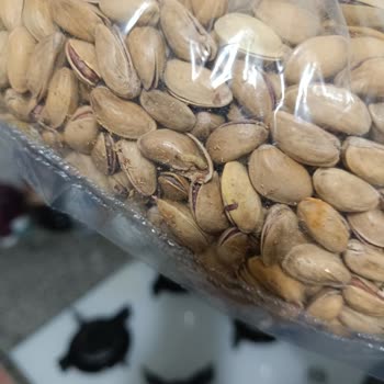 Tatbak Gıda Antep Fıstığından Kurt Çıkması