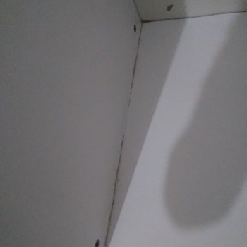 Van 65 Evden Eve Asansörlü Taşımacılık Van 65 Evden Eve Taşıma Eşyalarımızı Kırarak Getirdi