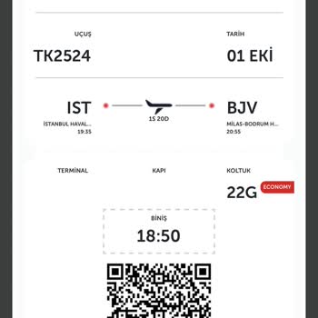 Türk Hava Yolları Hayal Kırıklığısın