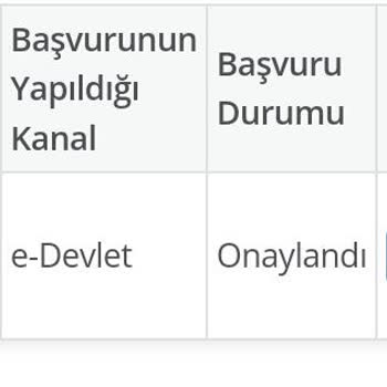 E-Devlet (Turkiye.gov.tr) E-başvuru Onaylandı Para Verilmedi