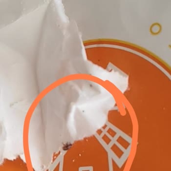 Özdilek Ev Tekstili Özdilek AVM Cansiparane Markalı Un Da Un Biti Çıkması