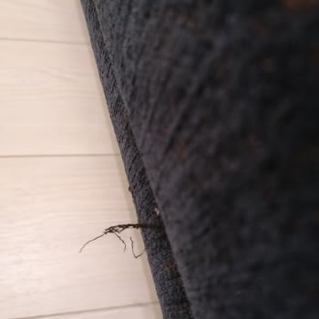 Mondi Koltuk Takımının Başka Bir Modeliyle Değişim Yapılmaması