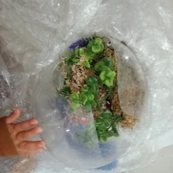 Nursoylar Nakliyat Beni Mağdur Ettiler