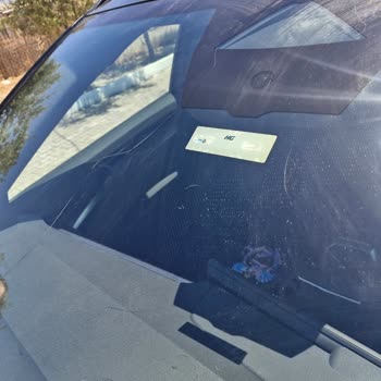 Renault Austral Ön Cam Çatlağı