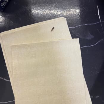 Barilla Gıda Böcek Ve Kurtlanma