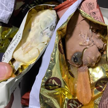 Magnum Bozuk Ürün Hakkında