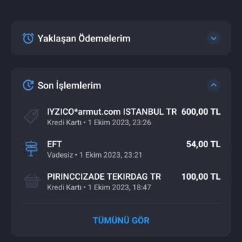 Armut Bakiyesini Geri Çekememek
