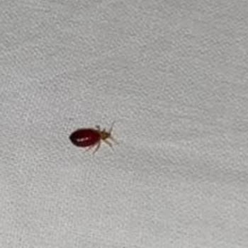 SSC Tur Doğu Karadeniz Turumuzu Mahvetti