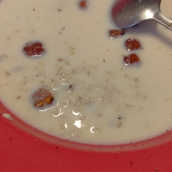 Eti Lifalif Yulaf Ezmesinde Canlı Böcekler