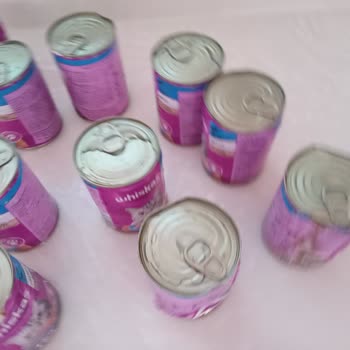 Pet Shop Zoo (İzmir) Bozuk Ambalaj Ve Gıda