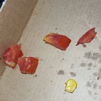 Domino's Pizza Pizzanın Üstündeki Ürünler Çig Ve Domatesler Kabuklu Büyük Doğranmış
