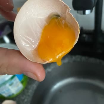 Onur Market Sade Organik Bozuk Yumurta