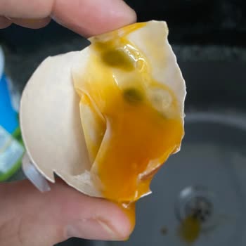 Onur Market Sade Organik Bozuk Yumurta