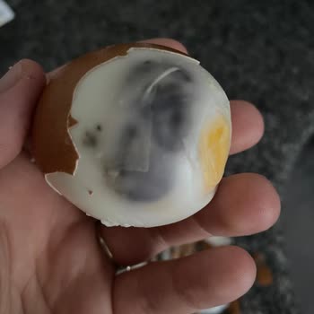 Onur Market Sade Organik Bozuk Yumurta