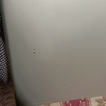 Altus Bulaşık Makinesi Kapağında Renk Değişimi