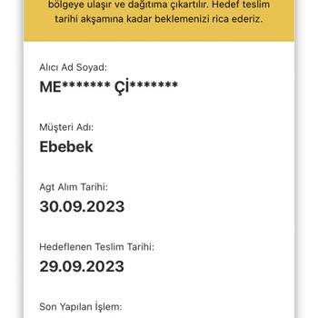 AGT Kargo İle Yaşadığım Sorunlar