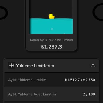 Hiç Nays Şeyler Yapmıyorlar