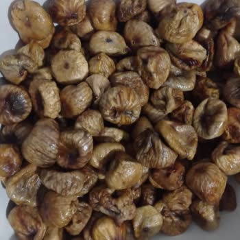 İk Tarımüssü Kurtlu Kokmuş İncirler!