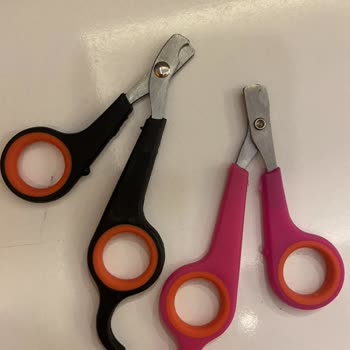 Trendyol Gezeroğlu Petshop Ürünü İade Almıyor