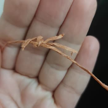 Spagettiyarn Kopuk, Düğümlü Kağıt İp