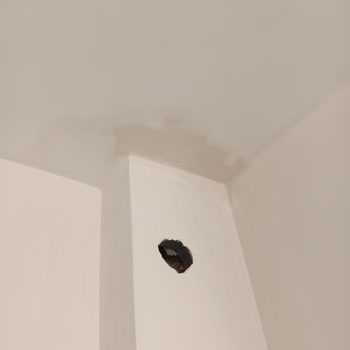 TOKİ Ev Şikayeti Ve Eksikleri