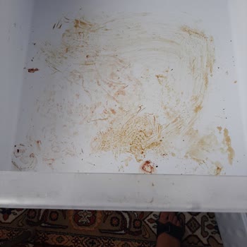 Uğur Soğutma Pişmanlığı