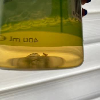 Bee Beauty Makyaj Temizleme Suyunda Bilinmeyen Böcek