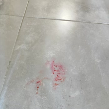 Migros Sanal Kimyasal Gıdalara Bulaşmış.