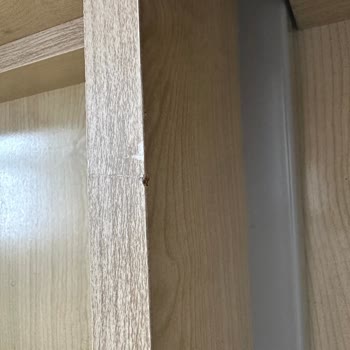 İstikbal Elemanlarının Umursamaz Tavırları Ve Çözüm Bulmamaları