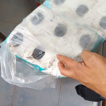MNG Kargo Kartepe Emekevler Şubenin Sorumsuzluğu