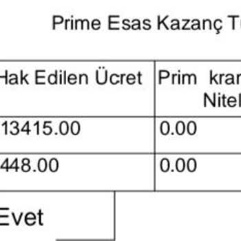T. C. Cumhurbaşkanlığı Staj Ücretinin Eksik Yatırılması