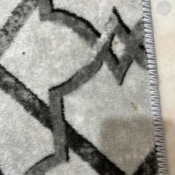 Antibakteriyel Halı Yıkama Çıkmayan Halı Lekeleri