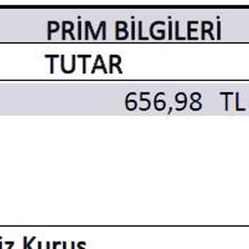 Ziraat Bankası -Türkiye Sigorta Konut Kredisi