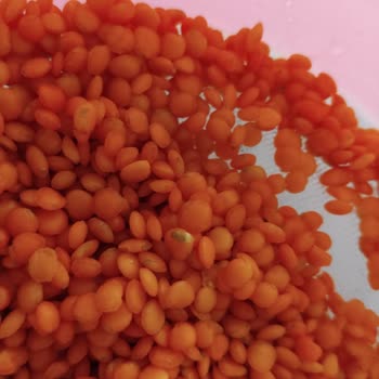 Migros'tan Alınan Kırmızı Mercimeğin Böcekli Çıkması