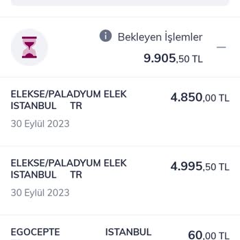 PeP A101 Sitesinde Telefon Alma İşlemi Sırasında Hesabımdan Yanlışlıkla Çekim Yapıldı