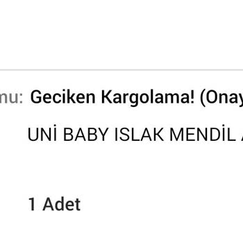 N11 Geciken Sipariş Sorunsalı