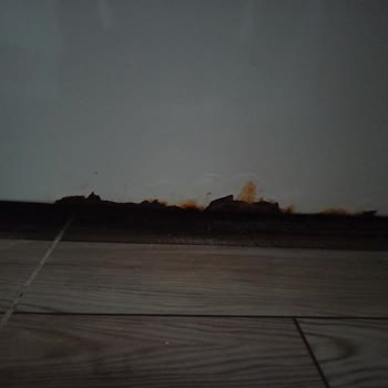 Profilo Çamaşır Makinesi Tamiri Hatası