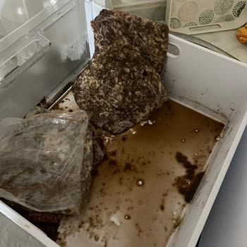Uğur Soğutma Marka Dondurucu Sorunu