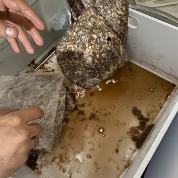 Uğur Soğutma Marka Dondurucu Sorunu