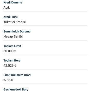 İş Bankası Gecikmede Görünen Borcun Findeks Raporunda Silinmemesi