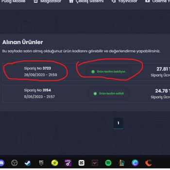 Epinkasa Epin Kasa Ürünü Teslim Etmedi