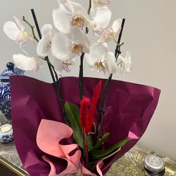 Taze Çiçek (tazecicek.com) Taze Çiçekten Sipariş Verirken Büyük Hayal Kırıklığı Yaşadım