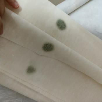 A101 Baklavalık Yufka Küflü