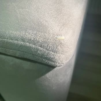 Gündoğdu Mobilya Deformeli Koltuk Takımı