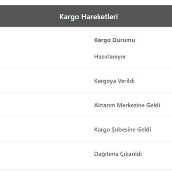 Bir Günde Kargo, Kargoyu Teslim Etmiyor.