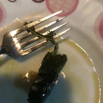 Ayşeli Köy Ürünleri Salamura Yaprak Sorunu