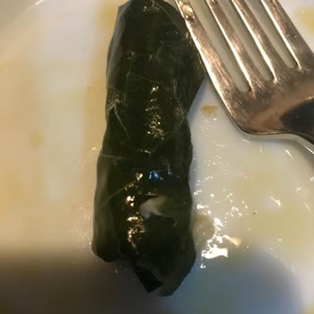 Ayşeli Köy Ürünleri Salamura Yaprak Sorunu